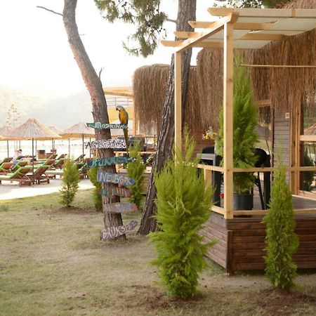 Green Pine Bungalows Ölüdeniz Buitenkant foto