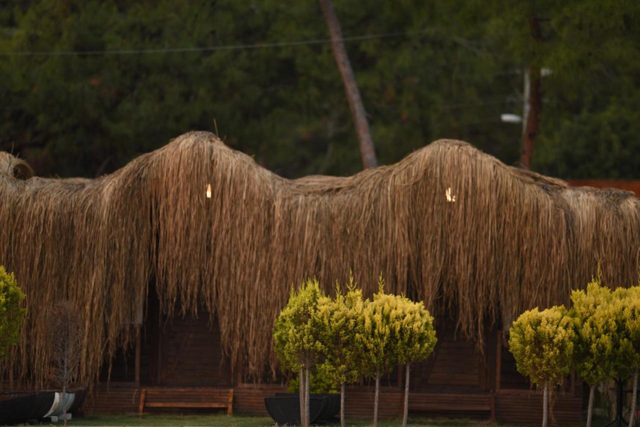Green Pine Bungalows Ölüdeniz Buitenkant foto