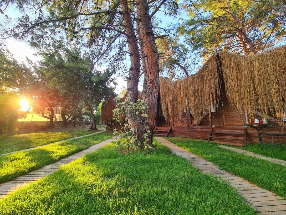 Green Pine Bungalows Ölüdeniz Buitenkant foto
