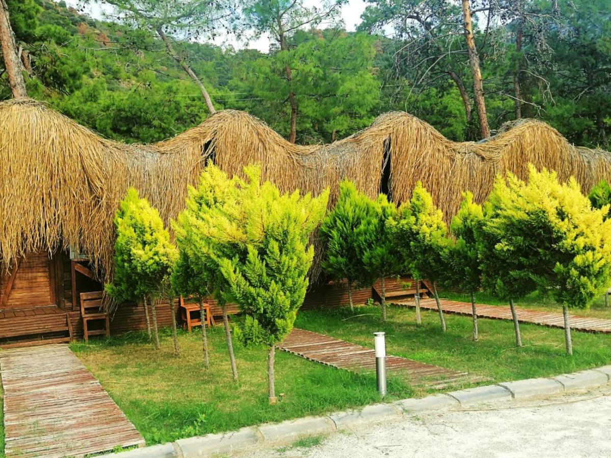 Green Pine Bungalows Ölüdeniz Buitenkant foto