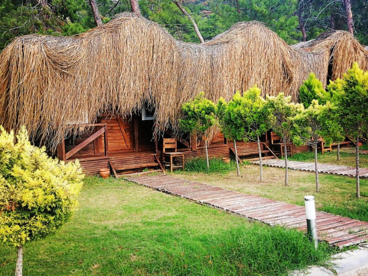 Green Pine Bungalows Ölüdeniz Buitenkant foto