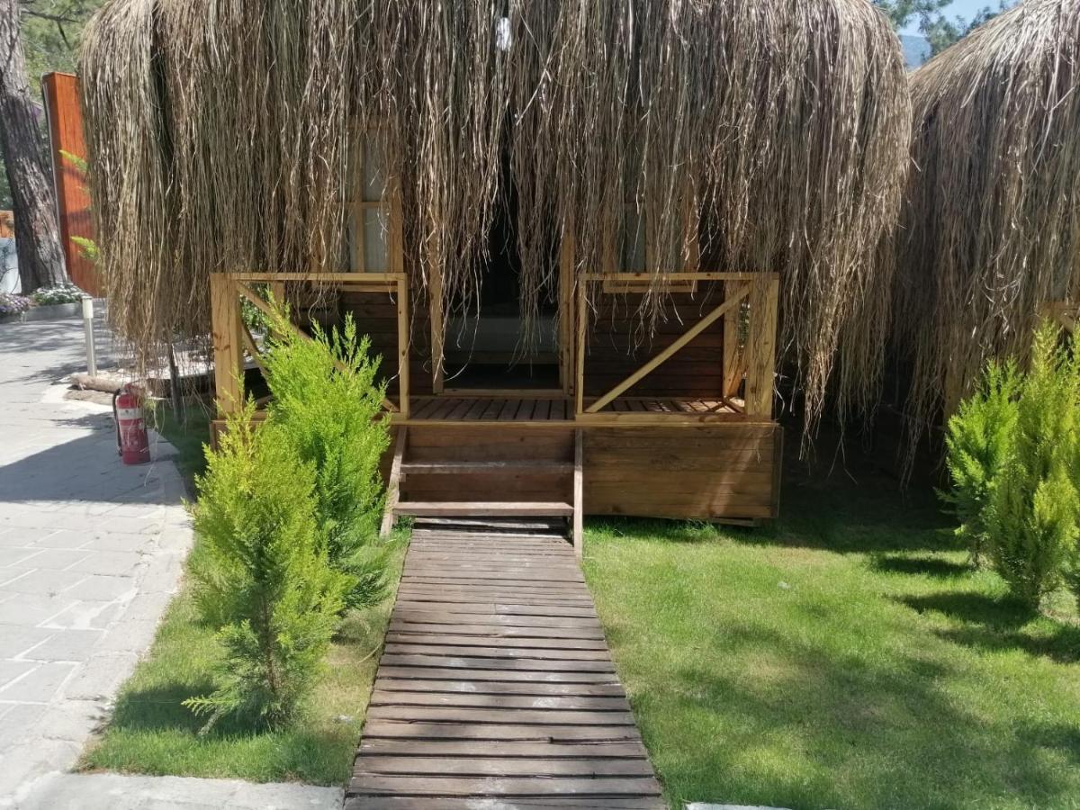 Green Pine Bungalows Ölüdeniz Buitenkant foto