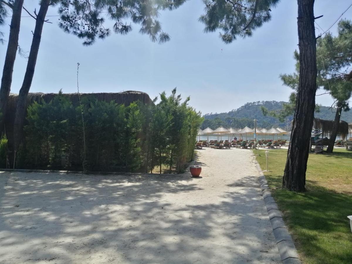 Green Pine Bungalows Ölüdeniz Buitenkant foto