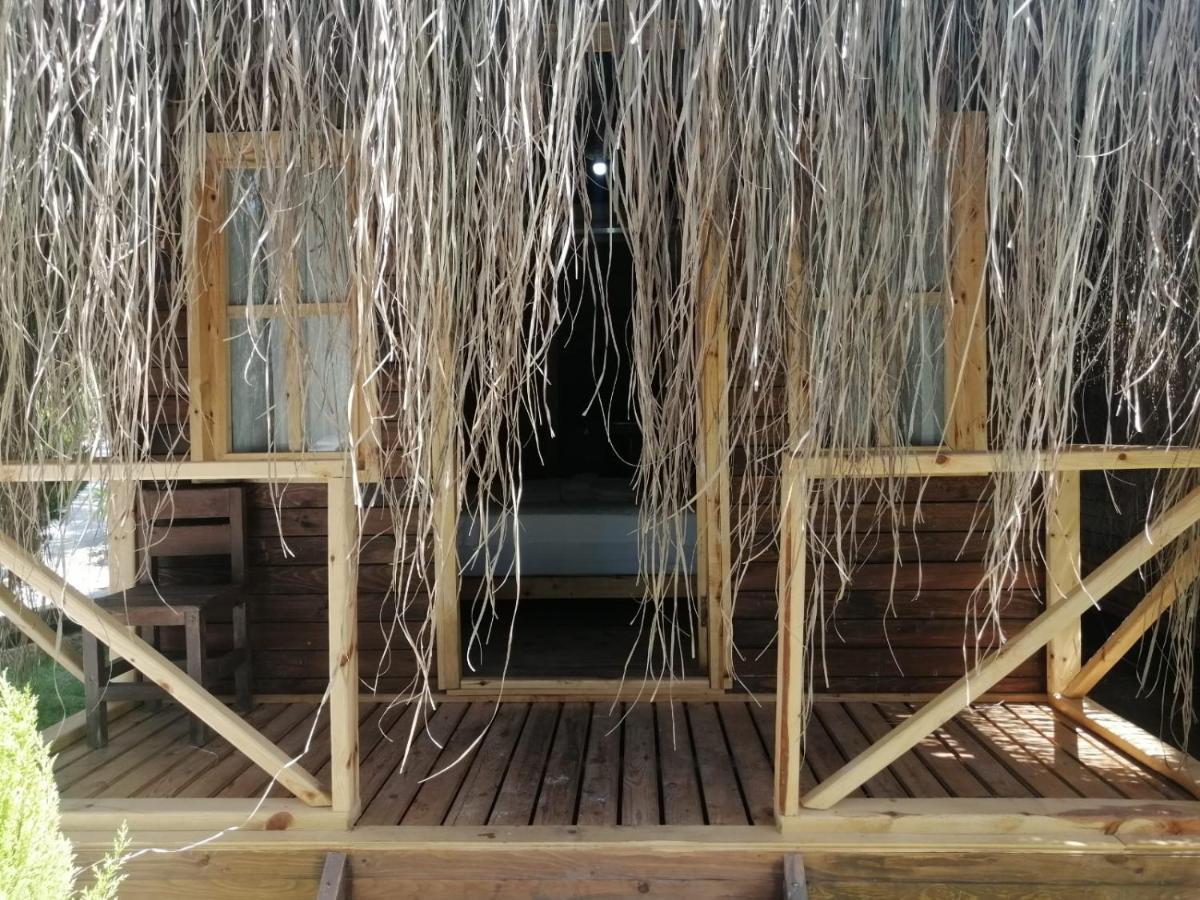 Green Pine Bungalows Ölüdeniz Buitenkant foto