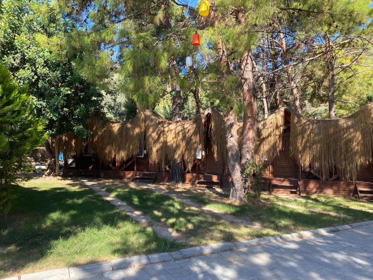 Green Pine Bungalows Ölüdeniz Buitenkant foto