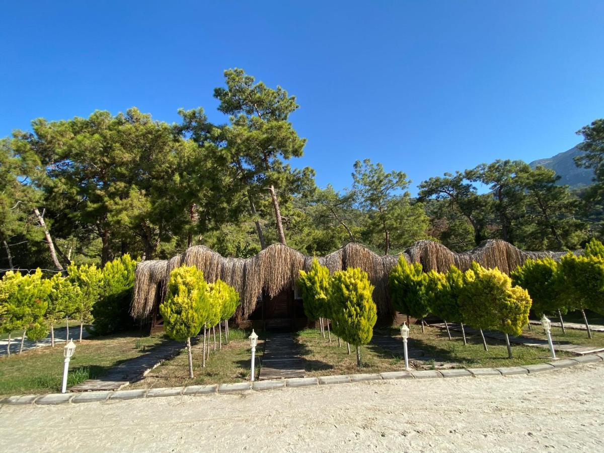 Green Pine Bungalows Ölüdeniz Buitenkant foto