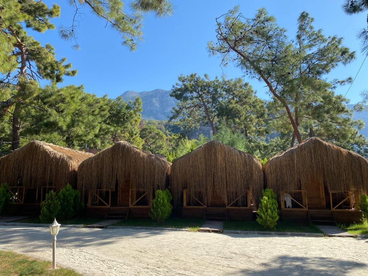Green Pine Bungalows Ölüdeniz Buitenkant foto