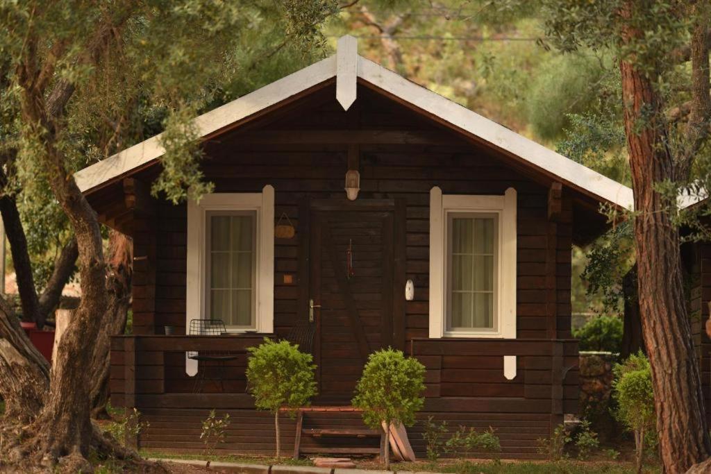 Green Pine Bungalows Ölüdeniz Buitenkant foto