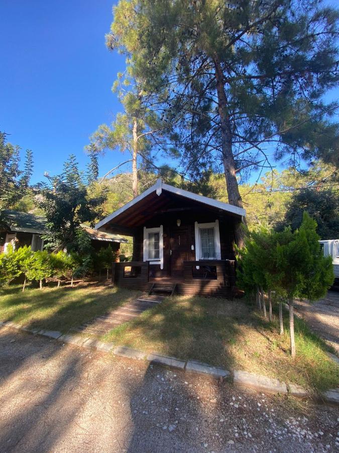 Green Pine Bungalows Ölüdeniz Buitenkant foto